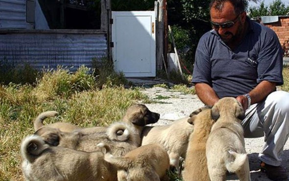 Polisin yanında artık onlar olacak - Resim: 4