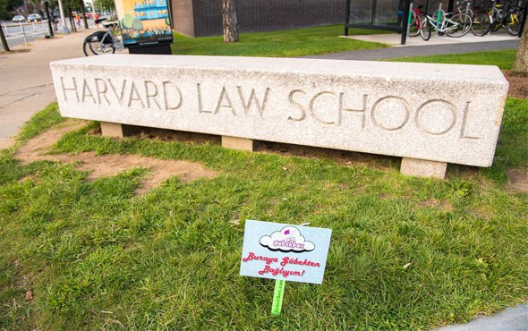 Türk zekası bunu da yaptı göbek bağlarını alıp bakın ne yapıyorlar - Resim: 1