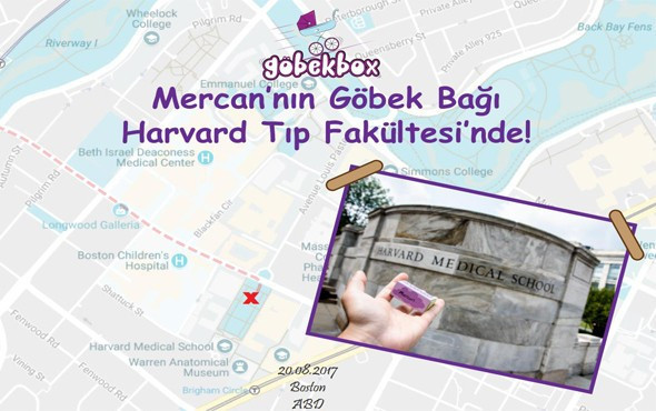 Türk zekası bunu da yaptı göbek bağlarını alıp bakın ne yapıyorlar - Resim: 2