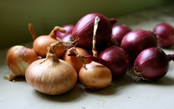 Soğanın neden göz yaşarttığının sırrı çözüldü - Resim: 1
