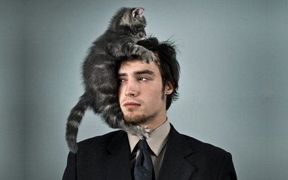 Erkekler dikkat kedi tırmalaması öyle bir şeye neden oluyor ki... - Resim: 3