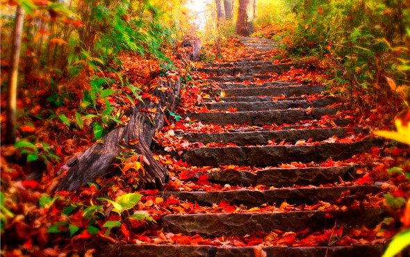 Mevsim geçişlerinin olumsuz etkileri neler bunları yapın! - Resim: 4