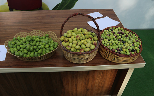 Canan Karatay: 'Kullanımı artarsa hastalık kalmaz' - Resim: 4