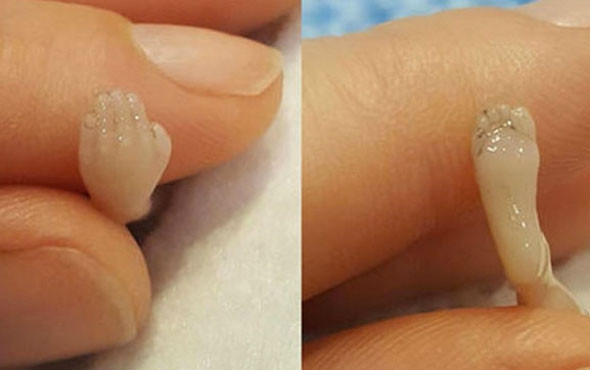 Bebeğini 14 haftalıkken kaybeden anneden inanılmaz hareket... - Resim: 1