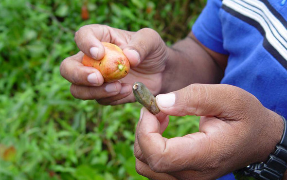 Kajuları artık ordu alacak iki bakan görevinden alınmıştı - Resim: 2