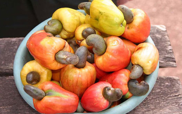 Kajuları artık ordu alacak iki bakan görevinden alınmıştı - Resim: 3