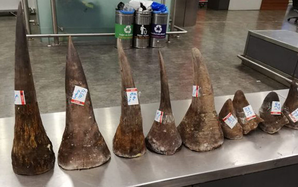 Çin 25 yıllık yasağını kaldırıyor bu karar çok tartışılır - Resim: 2