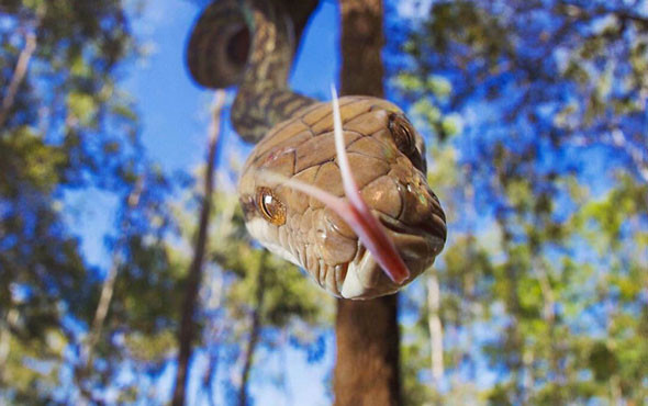 14 yaşındaki ödüllü fotoğrafçının çektiği inanılmaz fotoğraflar - Resim: 2