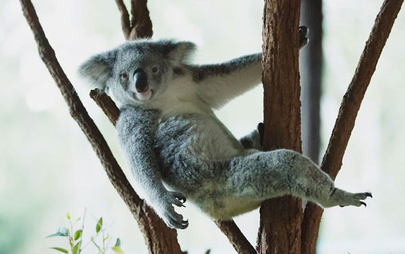 14 yaşındaki ödüllü fotoğrafçının çektiği inanılmaz fotoğraflar - Resim: 3