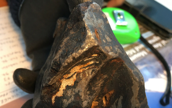  Bir gramı bile servet değerinde Nasıl ayırt edilebilir? - Resim: 3