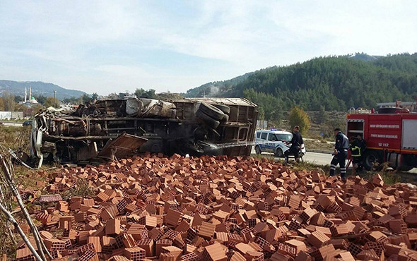 Tarlada dehşet: Ortalık bir anda savaş alanına döndü! - Resim: 3