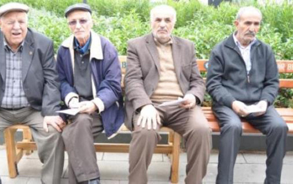 Emekliye kamuda çalışma müjdesi! Düşük faizli kredi de verilecek - Resim: 4