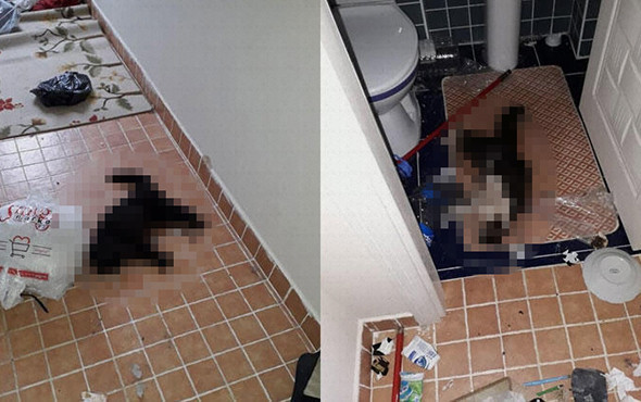 Kokudan vahşet çıktı: Savunması 'pes' dedirtti! - Resim: 1