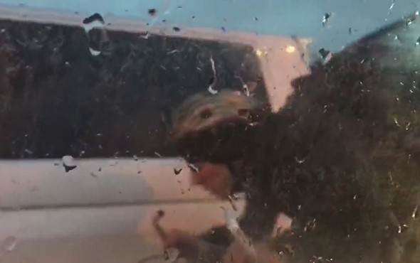 Yağmur ve yasak dinlemedi: Kameradan kaçamadı! - Resim: 2