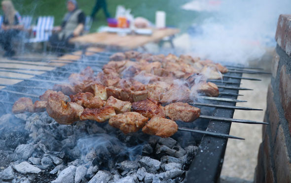 Bu da Mangal Parkı 16 dönümlük alana kuruldu - Resim: 2