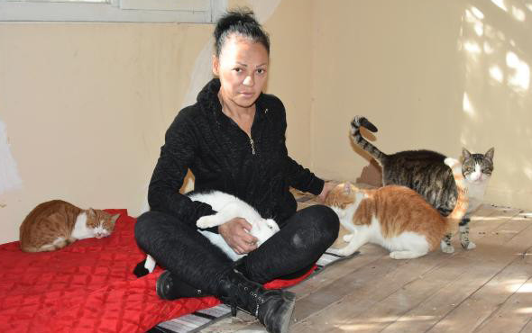 Genelevde kedi kavgası Terk edip gitti - Resim: 1