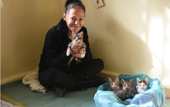 Genelevde kedi kavgası Terk edip gitti - Resim: 2