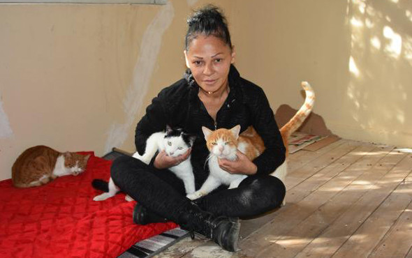 Genelevde kedi kavgası Terk edip gitti - Resim: 3