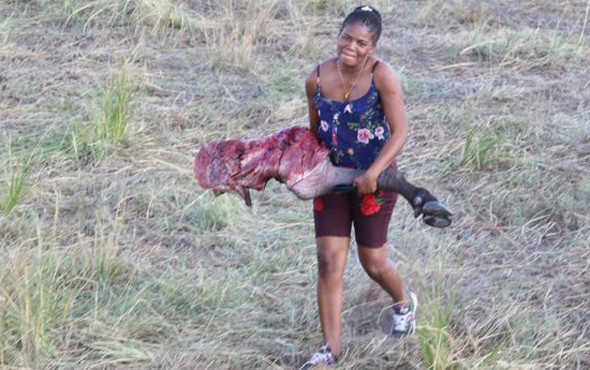Aslanlar kovaladı insanlar yedi Onlarcası telef oldu - Resim: 1