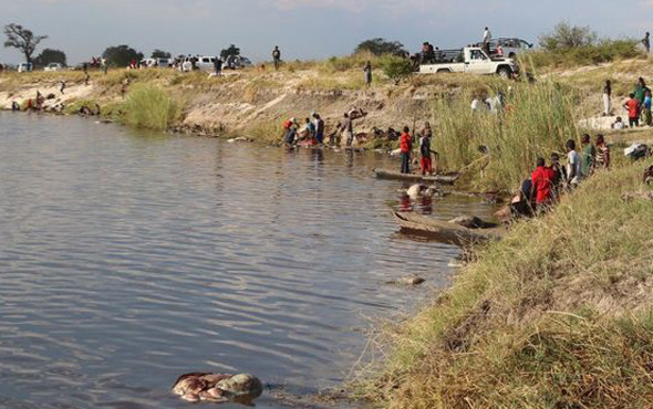 Aslanlar kovaladı insanlar yedi Onlarcası telef oldu - Resim: 4