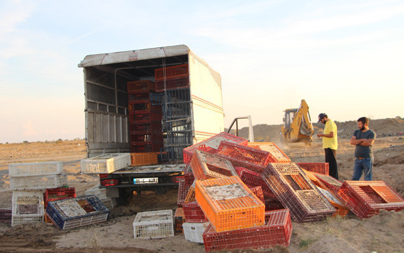 Bu iş böyle olmaz canlı canlı gömdüler  - Resim: 1