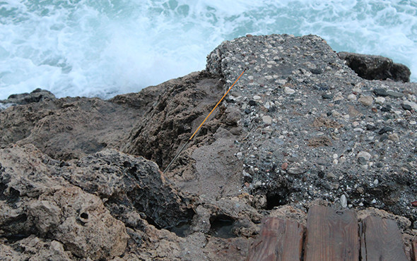 'Kendi canınızı kurtarın' dedi: Sonrası korkunç! - Resim: 1