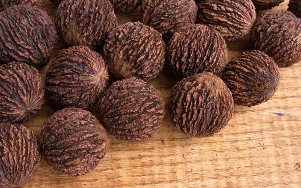 Şifa deposu olan 'kara ceviz'in faydaları nelerdir nasıl tüketilir? - Resim: 2