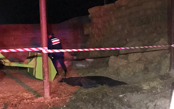 Korkunç olay: Biri 4 diğeri 2 yaşındaydı! - Resim: 2