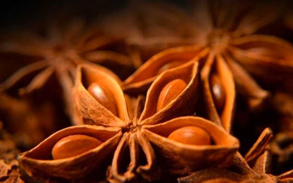 Şifa saçan bitki! İnanılmaz faydaları saymakla bitmiyor - Resim: 1