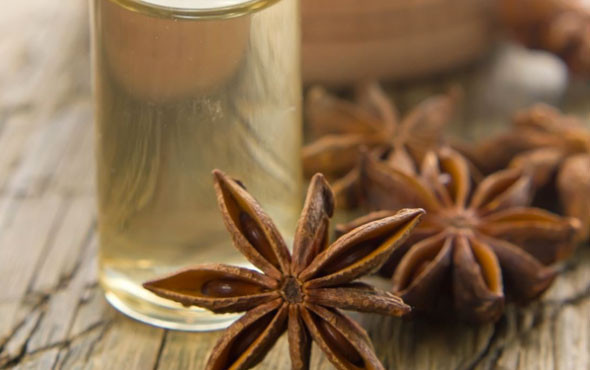 Şifa saçan bitki! İnanılmaz faydaları saymakla bitmiyor - Resim: 2