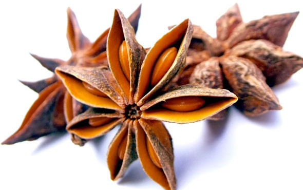 Şifa saçan bitki! İnanılmaz faydaları saymakla bitmiyor - Resim: 3