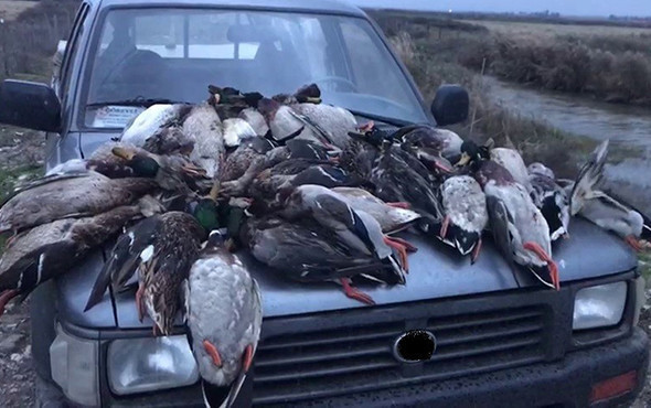 Kuş Cenneti'nde kaçak avcı katliamı: Onlarcası telef edildi! - Resim: 1