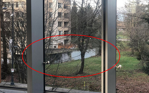 Bu fotoğraf sosyal medyayı ikiye böldü! Gölet mi, duvar mı? - Resim: 2