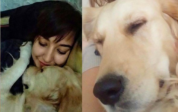 Sahiplerinin arasında kalan köpek mahkemelik oldu dava ertelendi - Resim: 2