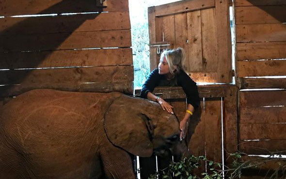 Yonca Evcimik 'oğlum' diyerek sevdiği fili evlat edindi - Resim: 2