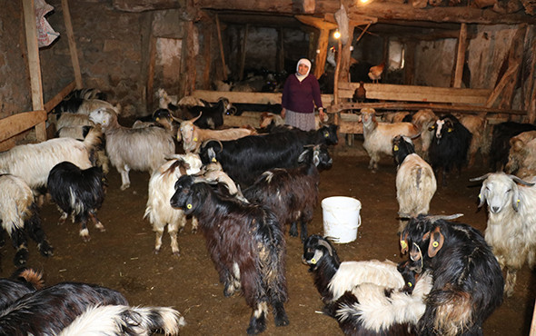 Bütün köy panikte: "Bu bir afet, bize yardımcı olsunlar" - Resim: 1
