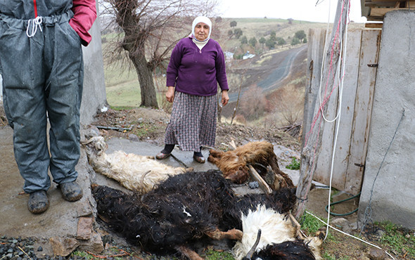 Bütün köy panikte: "Bu bir afet, bize yardımcı olsunlar" - Resim: 2