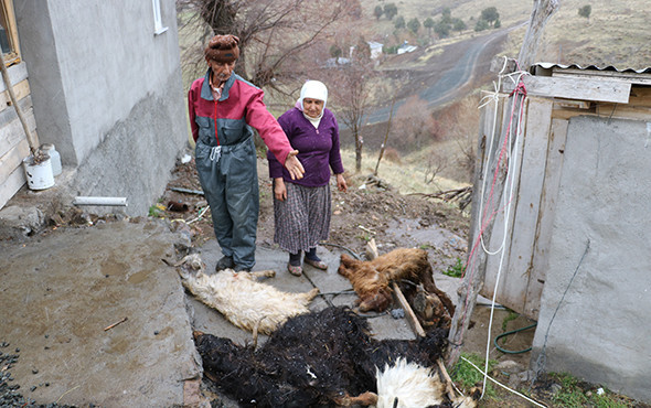 Bütün köy panikte: "Bu bir afet, bize yardımcı olsunlar" - Resim: 3