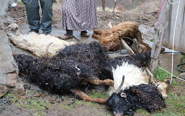 Bütün köy panikte: "Bu bir afet, bize yardımcı olsunlar" - Resim: 4