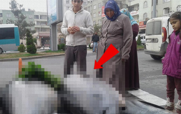 Yer Şanlıurfa: Görenler şaşkınlığını gizleyemedi! - Resim: 1