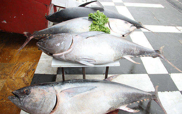 Yer Şanlıurfa: Görenler şaşkınlığını gizleyemedi! - Resim: 3
