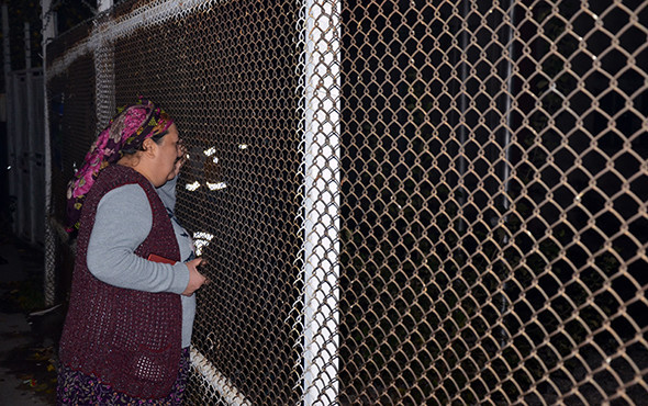 Cesedi görebilmek için birbirleriyle yarıştılar!  - Resim: 1