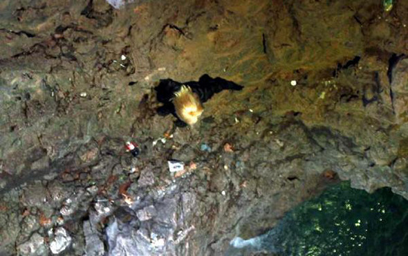 Alkollü genç kız falezlere tırmandı; ekipler seferber oldu! - Resim: 1