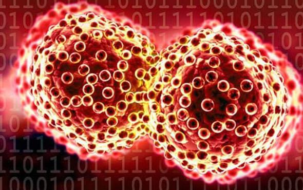 Müthiş keşif: Kanseri yok eden molekül bulundu! - Resim: 1