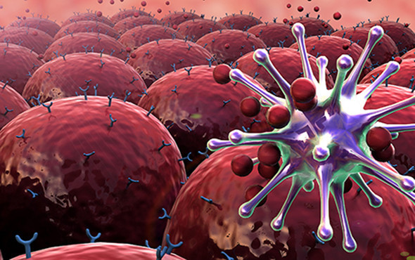 Müthiş keşif: Kanseri yok eden molekül bulundu! - Resim: 2