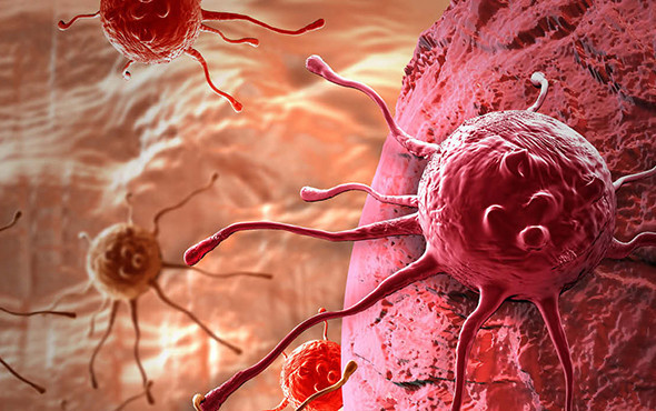 Müthiş keşif: Kanseri yok eden molekül bulundu! - Resim: 3