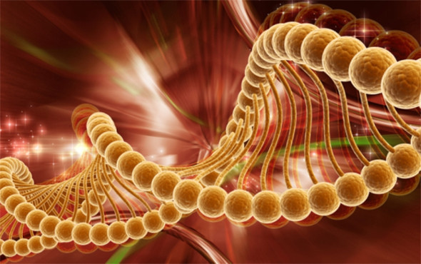 Müthiş keşif: Kanseri yok eden molekül bulundu! - Resim: 4