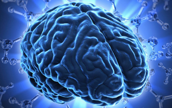 Sağlıklı bir beyin için 8 altın kural - Resim: 4