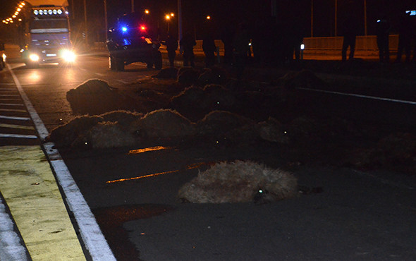 Koyun sürüsüne çarpan minibüsü benzinle ateşe verdi! - Resim: 1