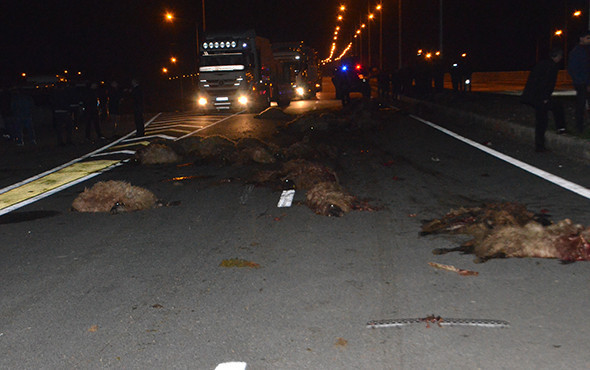 Koyun sürüsüne çarpan minibüsü benzinle ateşe verdi! - Resim: 2